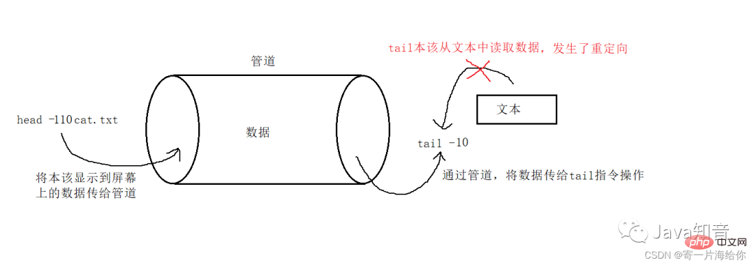 万字详解 Linux 常用指令（值得珍藏）